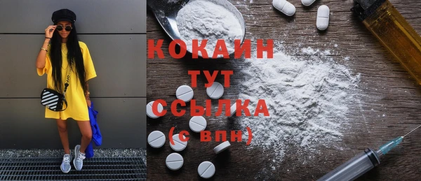 стаф Няндома