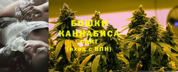 стаф Няндома